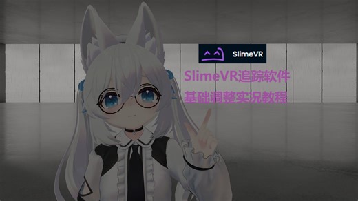 【狸戨VR】SlimeVR追踪软件基础调整实况教程