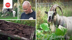 Hulvaton video! Kepposteleva Seppo-vuohi järjesti show’n kesken kuvausten: "Vuoden isä"
