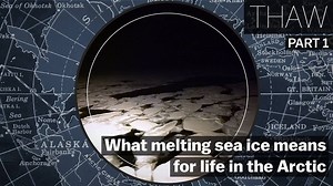 As the Arctic's ice vanishes, the region's ecology is rapidly changing. These scientists went to examine the latest developments. | Vox