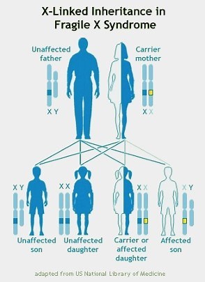 What is Fragile X? • World Fragile X Day