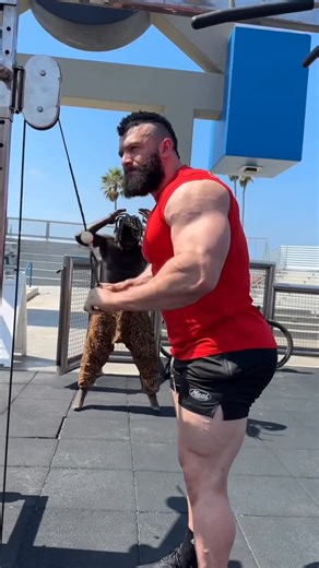 MEAT® SPORTSWEAR on Instagram: "PRIMEBEEF indeed! No Weak Cuts 💪🏽 . @nath_wyld in CutOff Muscle Tee - PRIMEBEEF / Red and Squatting Shorts - Motors / Black . #bodybuilding #muscle #musclebeach #fitness #meatsportswear #workout #physique #gym #teammeat"