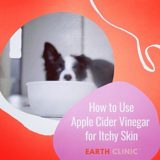 1.8K views · 32 reactions | How to Use ACV for Itchy Skin in Dogs...