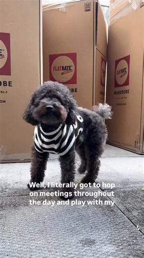 Moving Day 💫 . . . . #MiamiMovers #MiamiMovingCompany #SouthFloridaMoves #MiamiLiving #MovingMiami #CoconutGroveHomes #MiamiRealEstate #MovingCompany #ProfessionalMovers #LocalMovers #HomeRelocation #StressFreeMove #PackingAndMoving #MoveWithCare #TrustedMovers #MovingDay #HouseMove #NewHomeNewBeginnings #SmoothMove #MovingMadeEasy #FreshStart #HomeSweetHome #MoveDayVibes #BeforeAndAfterMove #HappyCustomers #WeMakeMovesHappen | FlatRate Moving Miami