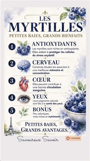 🫐 LES MYRTILLES : LE PETIT FRUIT AUX GRANDS BIENFAITS