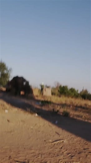 Watch Forrest Galante handle human-wildlife conflict in #MysteriousCreatures with Forrest Galante, on #discoverychannelsa | Discovery Channel Africa