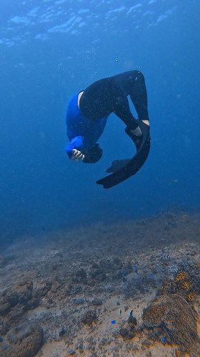 12 reactions | INTRO TO FREEDIVING FOR NON SWIMMER | GENTRY FREEDIVING #introfreediving #gentryfreediving #NarsSwimmingWorkshop #awrafreediving #iligandoctorsfreedivingclub #iligancityfreedivingclass #introtofreedivingiligan #tinagofalllsfreediving #nonswimmerfreediving #iligantourism #travelph #goprohero12black | Nars Swimming Workshop | Facebook