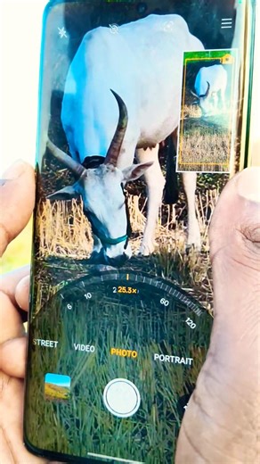 real me 12 Pro Plus zoom 120X 40K #Dekho bhai ko Mata ko jhumke