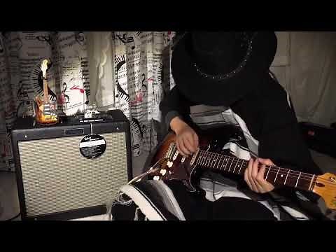 New amp: Fender Blues Junior IV