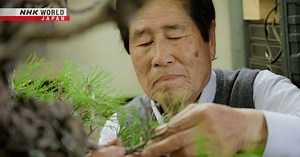 Breaking the Bonsai Mold: Kimura Masahiko / Bonsai Artist - Direct Talk