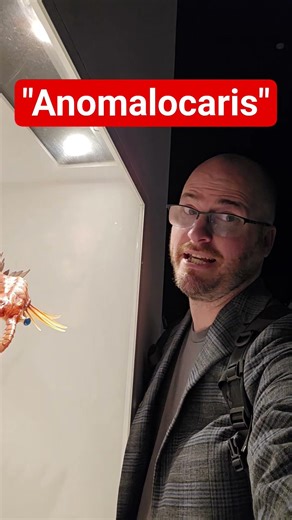 "Anomalocaris"