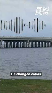 Unidentified man's body found along Sebastian shoreline, investigation underway