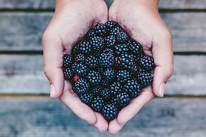 7 benefícios da Amora – Para que serve e receitas