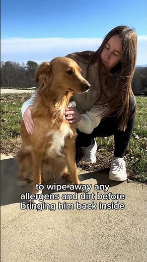 Stop Your Dog’s Itching FAST | WagWell Itchy Pup Bundle Review (Allergy Relief That Works?)