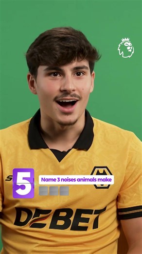 Meow! Woof! Moo! Premier League Players Making Animal Noises 😂