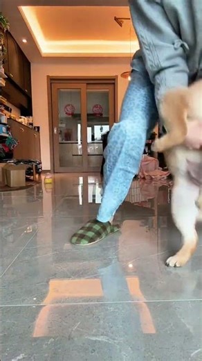 Discover the Zen of Dancing: Why Slow Internet Speeds Miss Out on the Fun