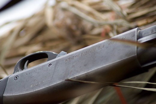 The Remington 870 Wingmaster vs. the Express: Which Is the Better Shotgun Buy?