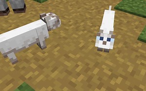 How to breed cats in Minecraft 1.19 update