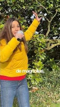 How to germinate MAGNOLIA seeds