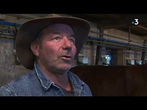 L'Abondance, un fromage à l'ancienne