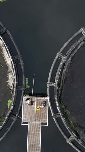 In the quiet of the morning, I cast my line into the water 🎣 Patience, nature, and finally, a delicious trout 🐟 Catch it, clean it, cook it... And best of all, eat it with relish 🔥 Everything tastes better in nature. #trout #fishing #eatinginnature #fishingrod #campingfun