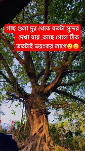 দুর থেকে যতটা সুন্দর দেখায় কাছ***//