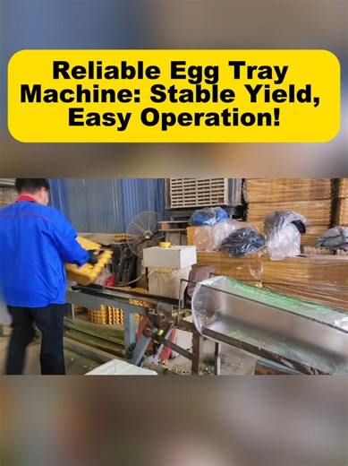 Profitable Egg Tray Production Using Pulp Molding