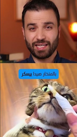 Why Is My Cat Wheezing? #BreathingMatters #PetCare #NasalEndoscopy #ZabeelVet #HealthyCats