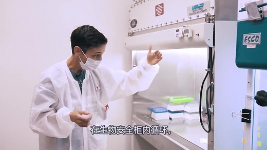 Real-Time PCR 教程 RT-PCR