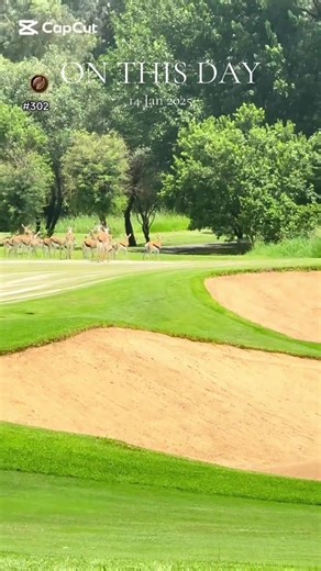 Embrace Creativity: Inspiration from Nature