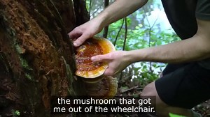 2.2K reactions · 391 shares | Have you ever bumped into a plant,...