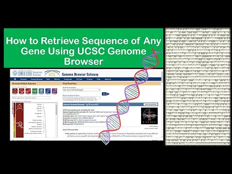 How to Retrieve Sequence of Any Gene of Any Species Using UCSC Genome Browser