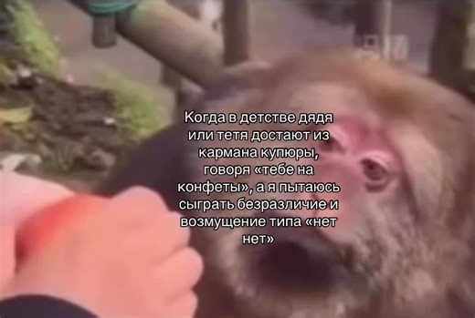 Виртуальные рекомендации для детей и сладостей