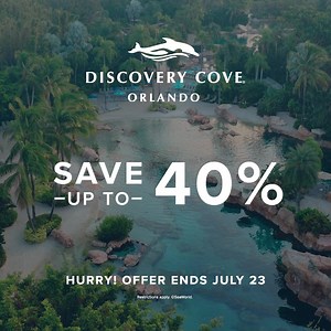 Save up to 40% on an all-inclusive day in paradise. Connect with animals, enjoy free rebooking. Offer ends July 23! | Discovery Cove