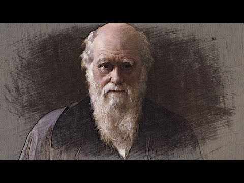 Charles Darwin, Naturalista Inglés, Uno de los Padres de la Evolución y de la Selección Natural.