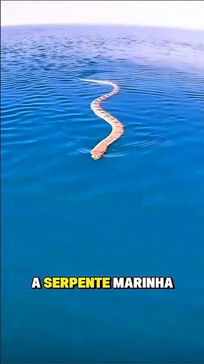 O perigo que nada tranquilo! #fyp #curiosidades