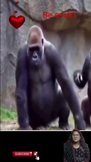 Hilarious Animal Moments That Will Make You Laugh Out Loud