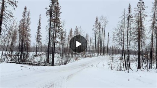 This is what compliance looks like at -35. I was out in the field this week watching loaded log trucks push through winter roads in northern Alberta. Burned timber on both sides. Snow dust cutting… | Samuel Elkins
