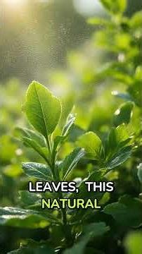 Shrimp Shells: The Secret to Stronger Crops