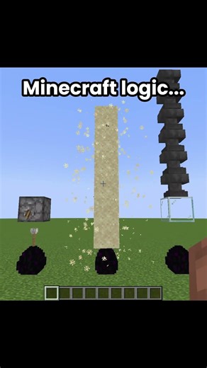 Minecraft Dragon egg Logic...