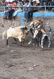 1.9M views · 9.3K reactions | La Jugada de El Simon Blanco que 3str3meci0 las Fuentes Cortazar⚠️‼️ | Filmaciones Jaripeyeras | Facebook