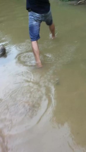 How to Catch Turtles in Natural Settings