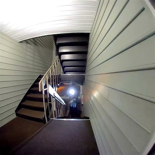 Delivery Person Tosses Package and Trips Down Stai