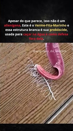 A VERDADE sobre o vídeo do Alien! 😱