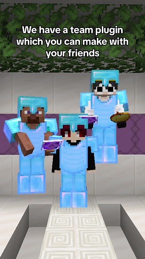 Join the Best Minecraft SMP in Asia with DonutSMP Features