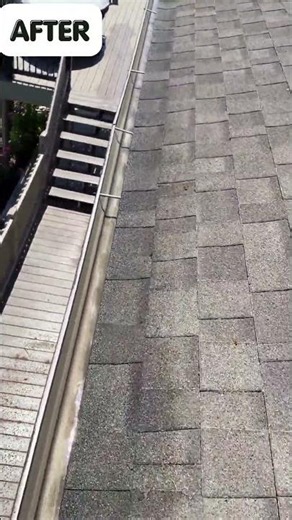 🚨 Gutter Cleaning Before & After | Incredible Transformation + Free