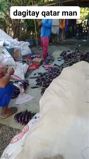 Dante Simon on Reels