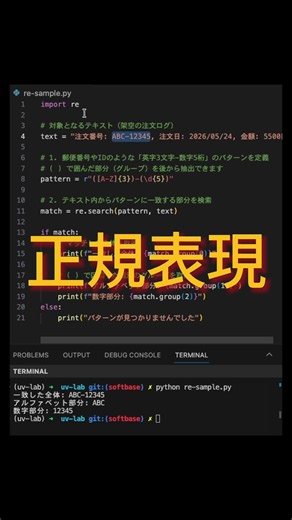 【Python】1分でスッキリわかる！正規表現の基本と文字列抽出 🔍 #Python #プログラミング #正規表現 #文字列操作 #AIイラスト