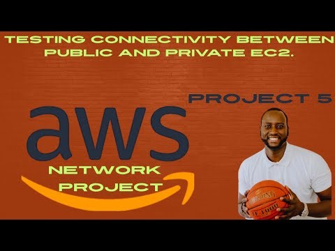 AWS NETWORK PROJECT 5: Testing Connectivity Between Public and Private EC2 Instances in AWS.