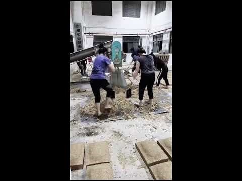 🔴 LIVE: Traditional Chinese Liquor Making | POV Fermentation & Qu Starter Stomping