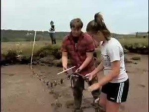 Picturing the Possibilities - Performance Matters